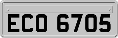 ECO6705