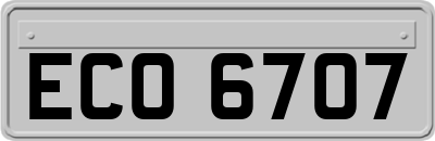 ECO6707