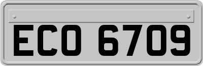 ECO6709