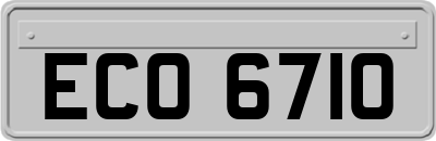 ECO6710