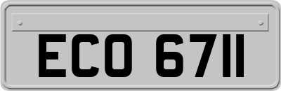 ECO6711