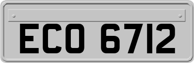 ECO6712