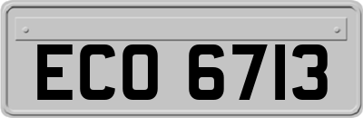 ECO6713