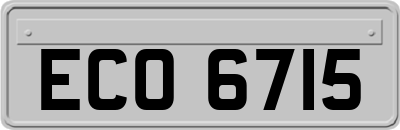 ECO6715