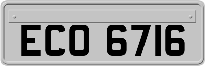 ECO6716