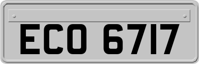 ECO6717
