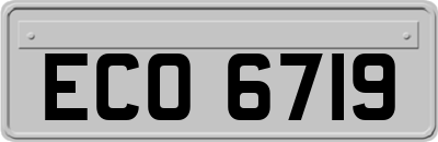 ECO6719