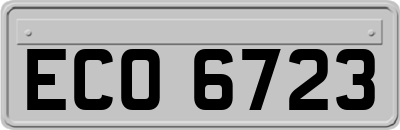 ECO6723