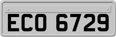 ECO6729
