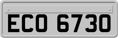 ECO6730