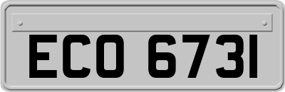 ECO6731