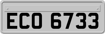 ECO6733
