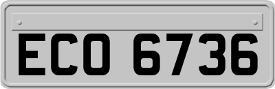 ECO6736