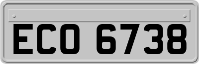 ECO6738