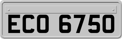 ECO6750