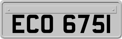 ECO6751