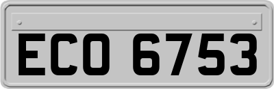 ECO6753