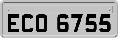 ECO6755