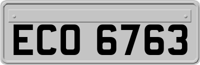 ECO6763