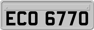 ECO6770