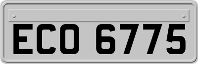 ECO6775