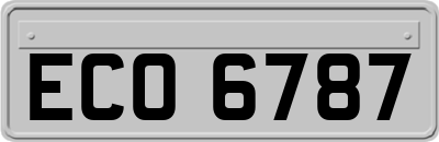 ECO6787