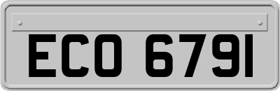 ECO6791