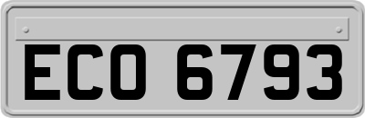ECO6793