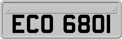 ECO6801