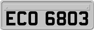 ECO6803