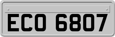 ECO6807