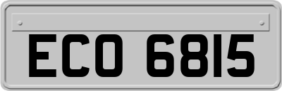 ECO6815