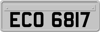 ECO6817