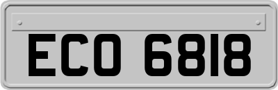 ECO6818