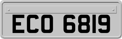 ECO6819