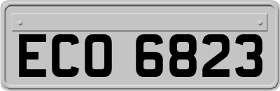 ECO6823
