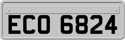 ECO6824