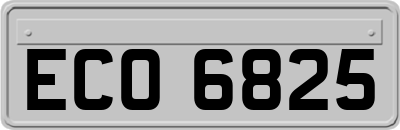 ECO6825