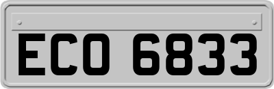 ECO6833