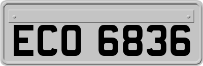 ECO6836