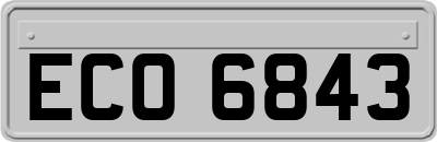 ECO6843