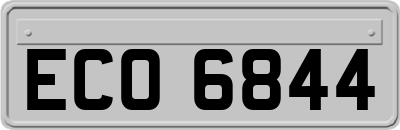 ECO6844