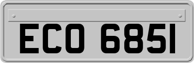 ECO6851