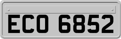 ECO6852