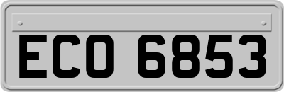 ECO6853