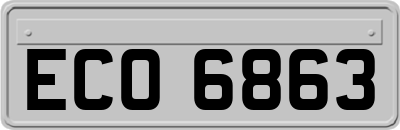 ECO6863