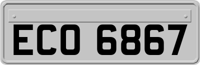 ECO6867