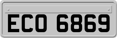 ECO6869