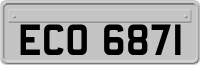 ECO6871