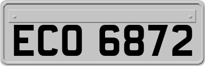 ECO6872